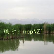 ɱ