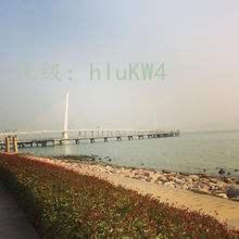 ḻ